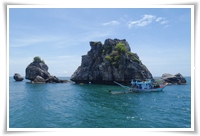 เกาะหลักแรด